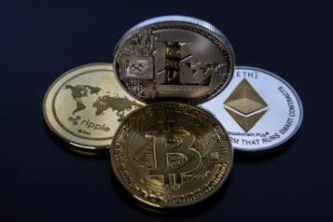 【1派币=多少美元】派币今天的行情多少美金一个币